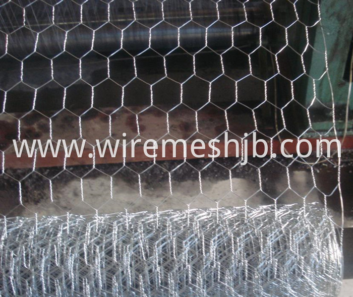 Galvanized Chicken Wire